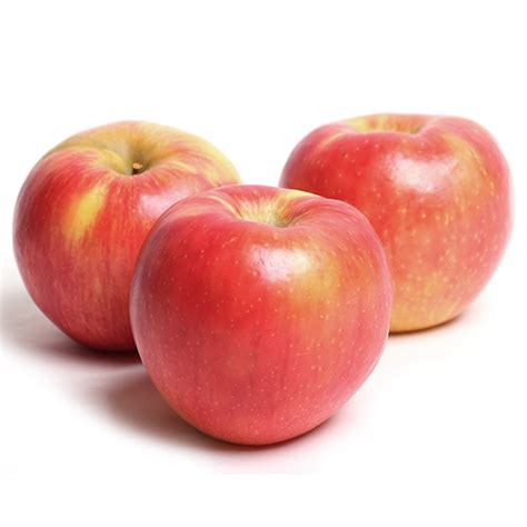 Bulk Organic & Biodynamic Mixed Heirloom Apples, 3 lb, Mt. Hood Organic  Farms