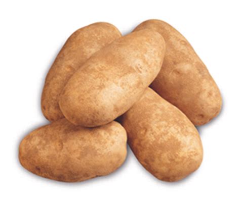 bfmazzeo: Potatoes, Russet Idaho