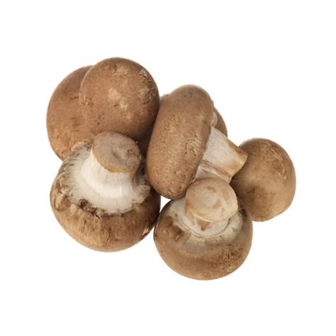 bfmazzeo: Mushroom, Crimini