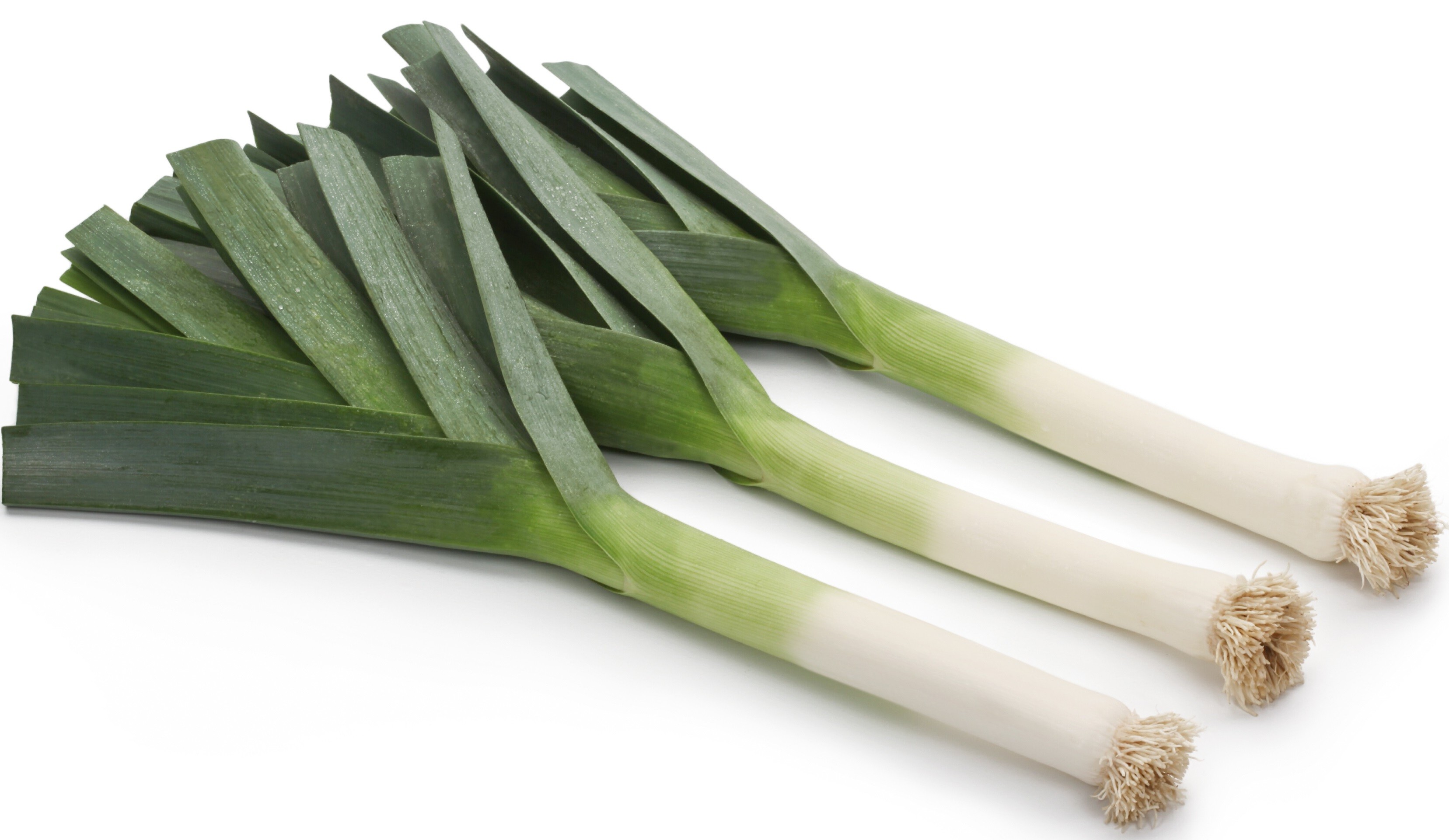 leekページ bfmazzeo: Leeks