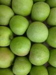 Apples, Granny Smith Organic