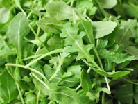 Herb, Arugula