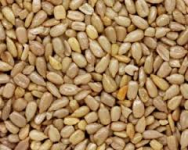 Raw Sunflower Seeds