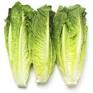Romaine Hearts