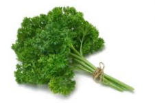 Curly Parsley