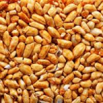 Roasted  US Sunflower Seeds