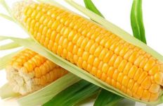 Corn, Yellow, 3 pack