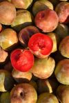 Emerald Beauty Pluots