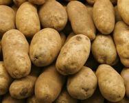 Potatoes, Idaho Baking Organic