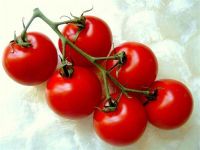Tomatoes, Campari