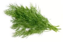 Fresh Dill