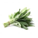 Fresh Sage