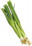 Organic Green Scallions