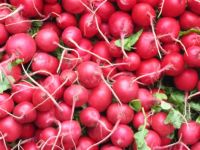 Radish, Cleaned