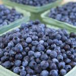 Blueberries
