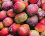Mango, Red Small