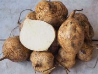 Jicama