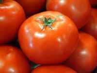 Tomato, Hot House