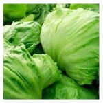 Organic Iceberg Lettuce