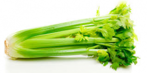 Celery Bunch