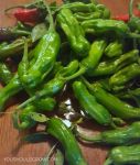 Shishito Peppers
