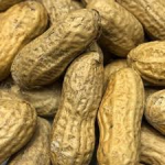 Peanuts Roasted in Shell Unsalted
