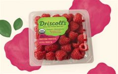 Organic Raspberries