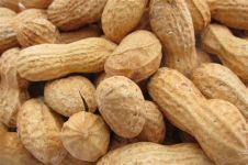 Peanuts Roasted in Shell with salt