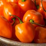 Organic Orange Pepper