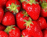 Organic Strawberries