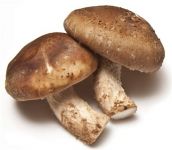 Serfunghi Mixed Mushroom salad
