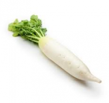 DAIKON - LB