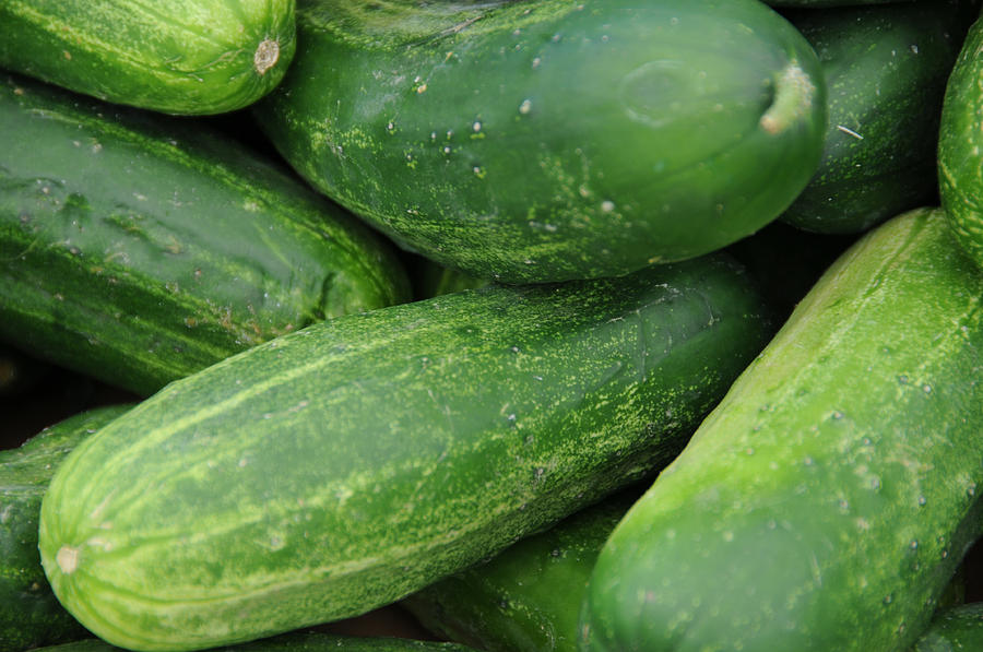 Cucumbers (Kirby)