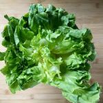 Escarole