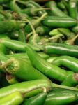 Pepper, Serrano